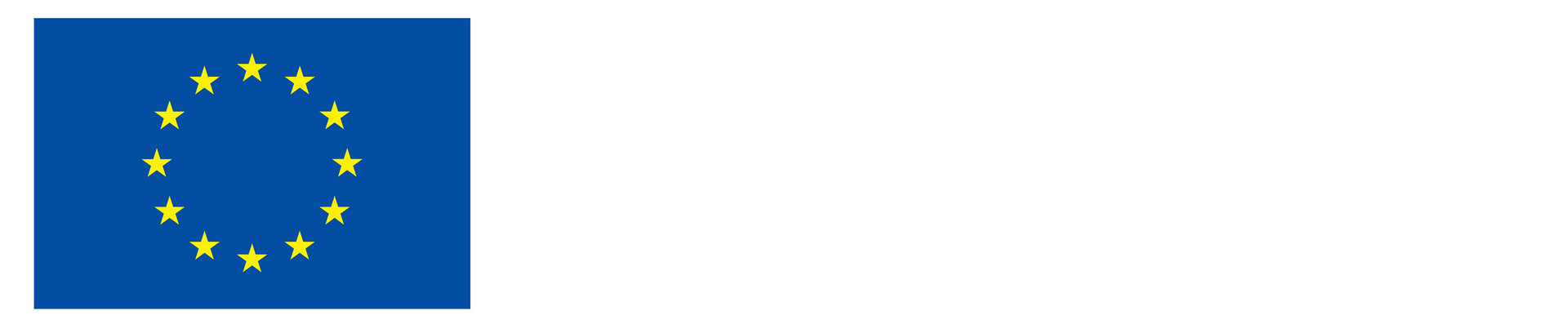 Co-funded by the European Union logo